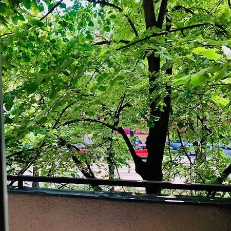 Joy Prefectura 12 * Timisoara